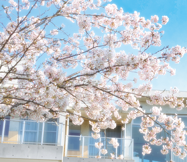 花や自然と共に、季節を過ごしていく。